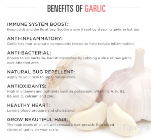 Garlic Benefits