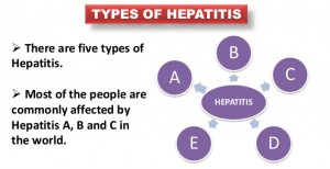 Types of Hepatitis