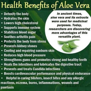 benefits-of-aloe-vera