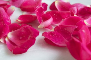 rose-water-for-skin-beauty