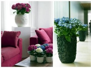 flowers-vase-at-corner